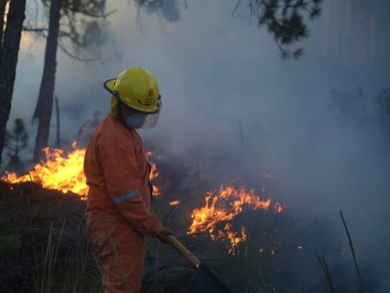 Chiapas en focos rojos por incendios