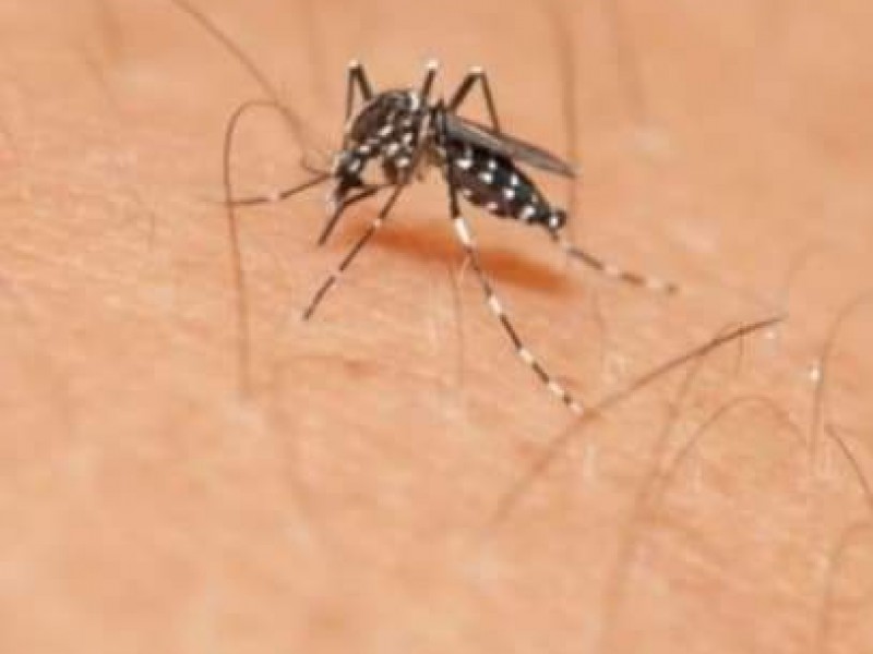 Chiapas en primer lugar en casos de dengue
