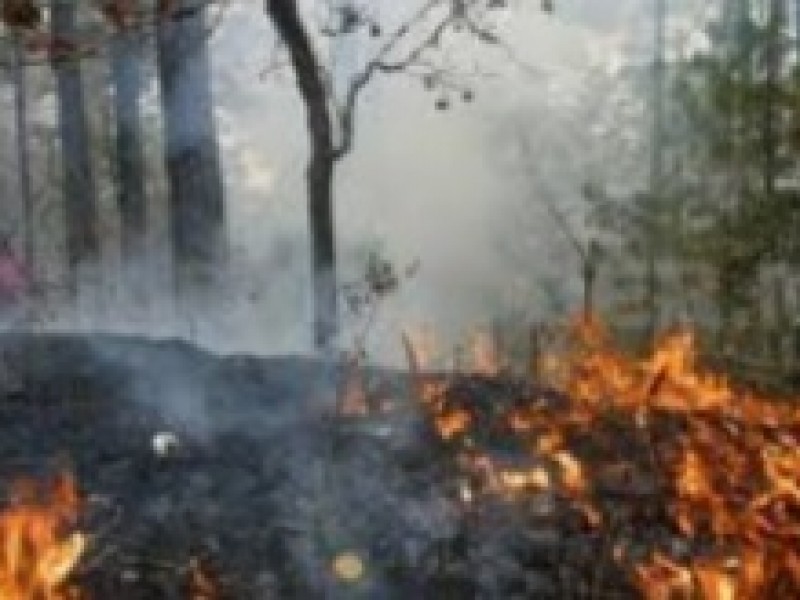 Chiapas entre los estados más afectados por incendios