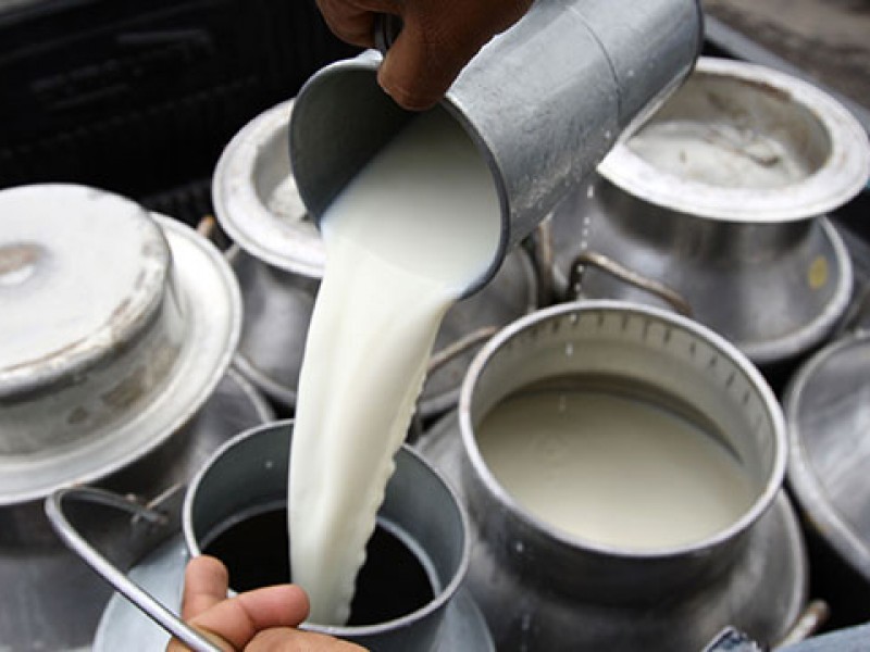 Chiapas noveno productor de leche en el país