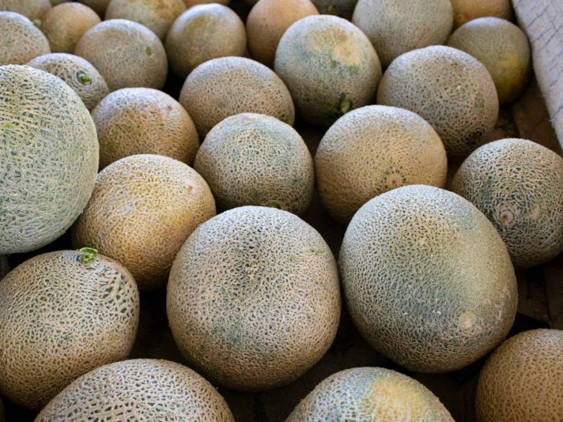 Chiapas noveno productor de melón en México