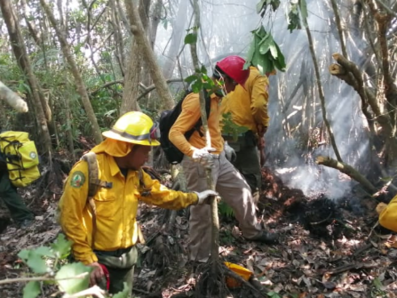 Chiapas octavo lugar por hectáreas incendiadas