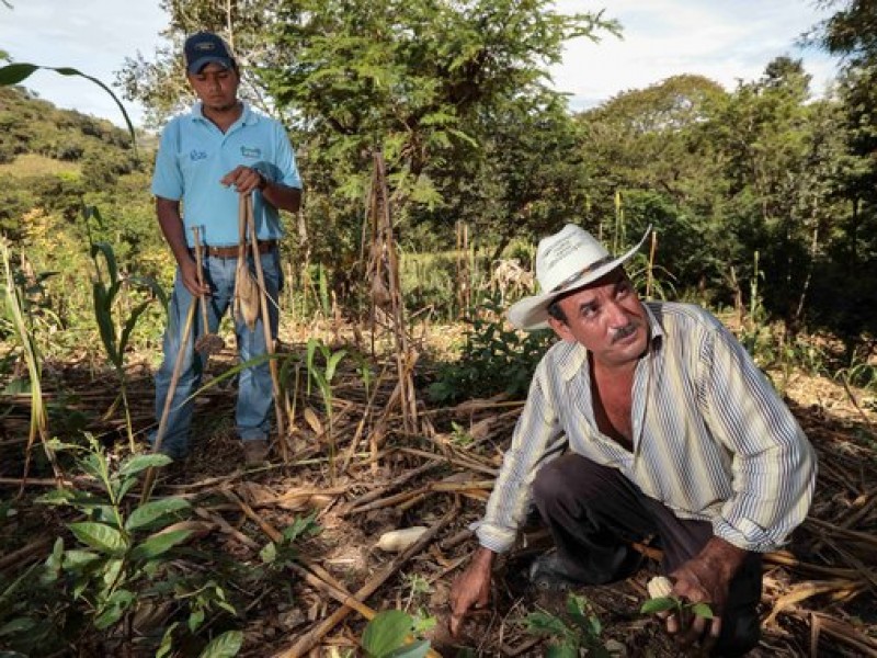 Chiapas participa en la campaña 