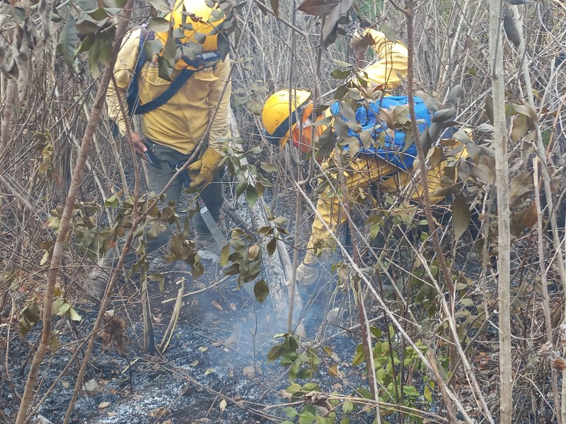 Chiapas primer lugar nacional por superficie afectada en incendios forestales