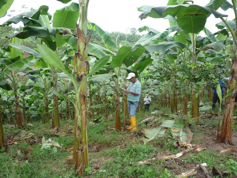 Chiapas se destaca en actividad económica