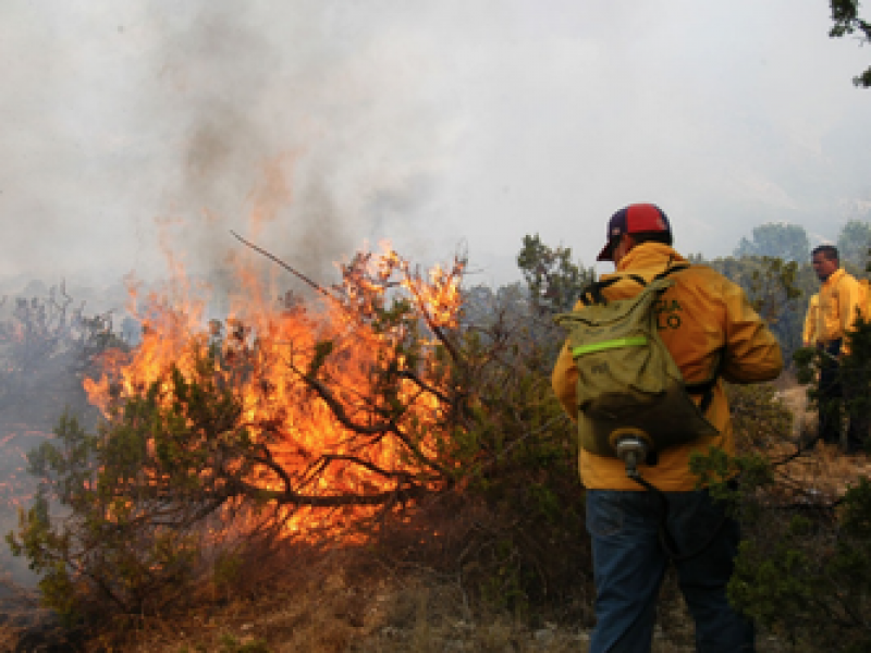 Chiapas, segunda entidad con más afectaciones por incendios forestales