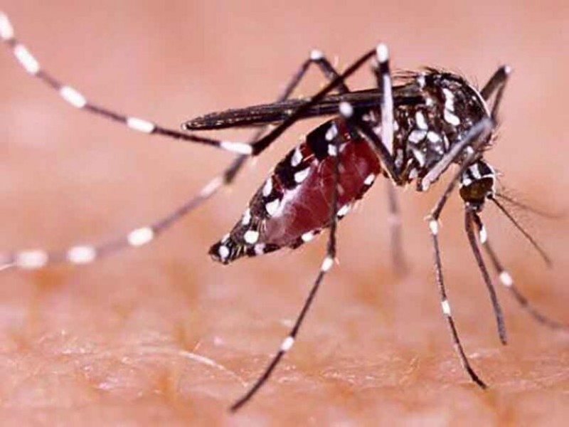 Chiapas, sexta entidad con más enfermos de dengue