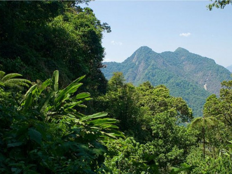 Chiapas sin incendios forestales, informan autoridades