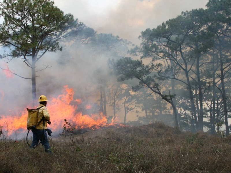 Chiapas tendrá una temporada atípica de incendios