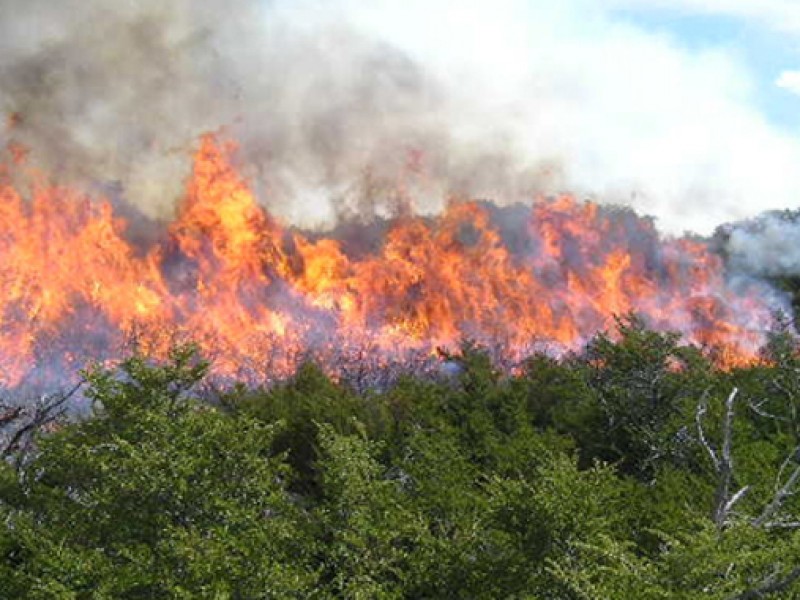 Chiapas tercer entidad con mayor superficie afectada por incendios