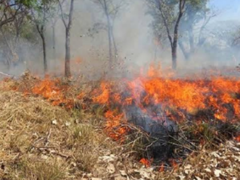 Chiapas tercer lugar por incendios forestales