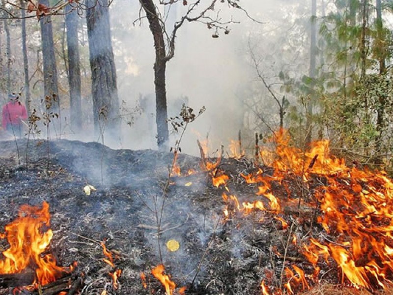 Chiapas, tercera entidad con más afectaciones por incendios forestales