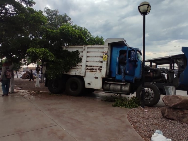 Choca camión de volteo en Punta Arena