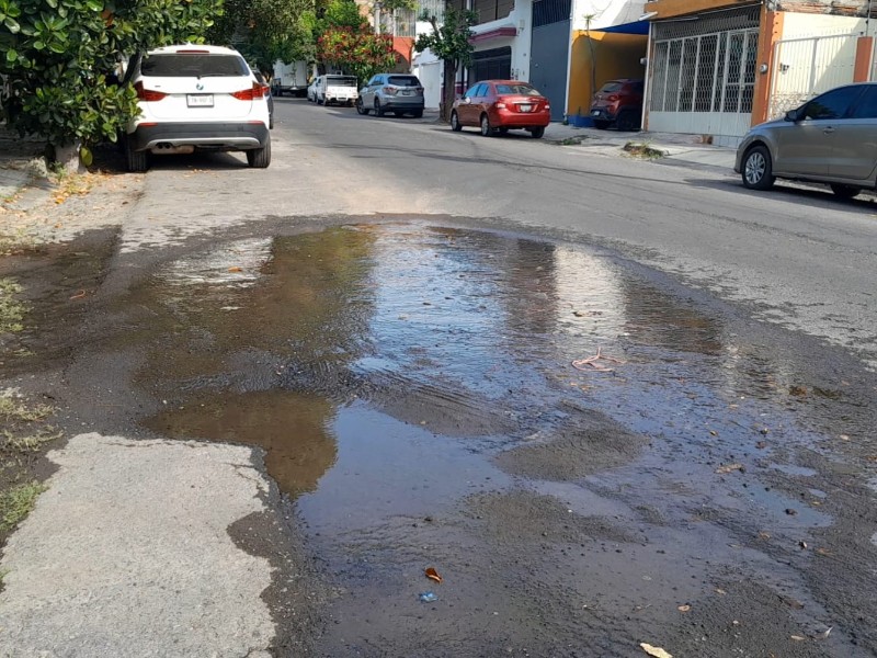 Ciapacov no repara enorme fuga en San Francisco; hay criaderos de moscos