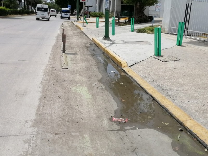 Ciclovía sin mantenimiento desde su apertura