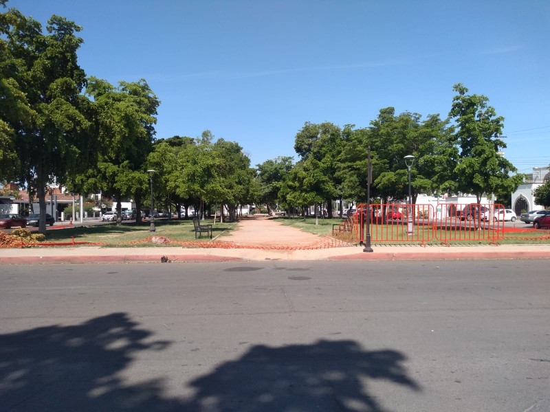 Cidue suspende temporalmente obra en camellón del bulevar Hidalgo