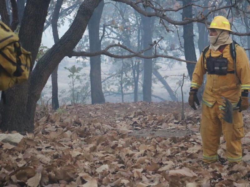 Cien hectáreas afectadas por incendio en La Primavera