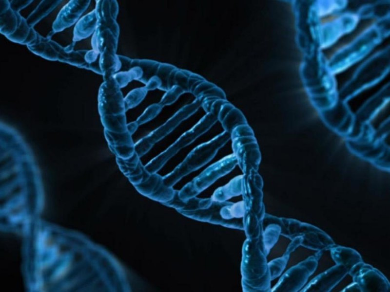 Científicos hallan ADN humano identificable en muestras ambientales