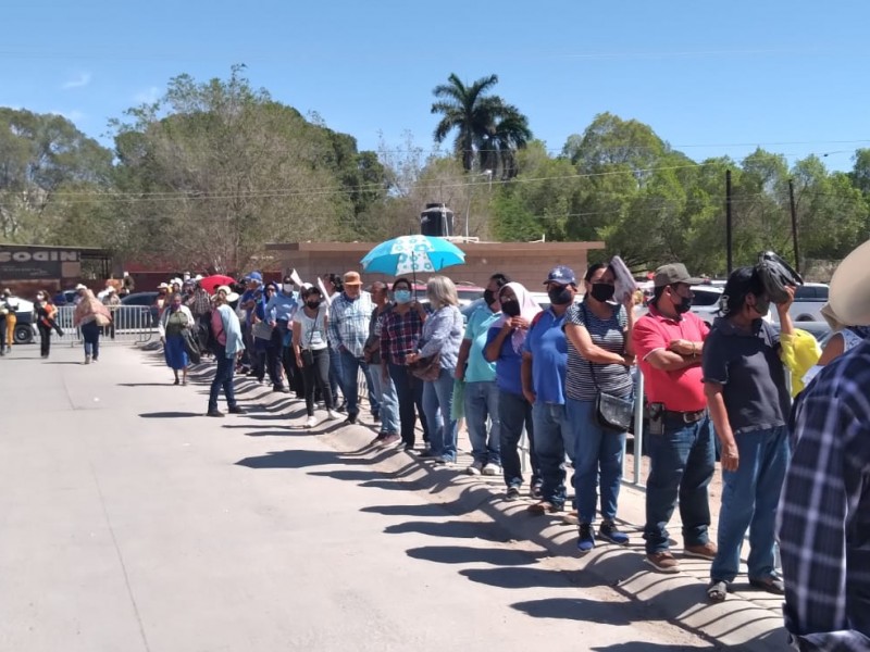 Cientos de ciudadanos acuden por corrección de actas en Navojoa