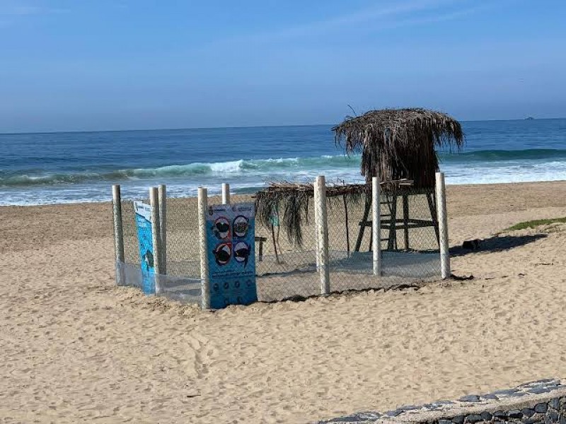 Cierra campamento tortuguero por la pandemia