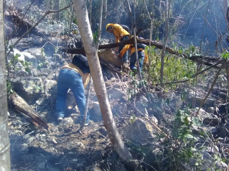 Cierra primer semana de marzo con dos incendios