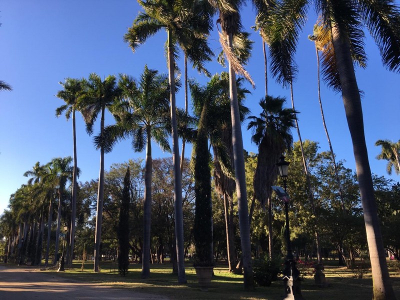 Cierra temporalmente Parque Sinaloa ante fase dos de Covid-19