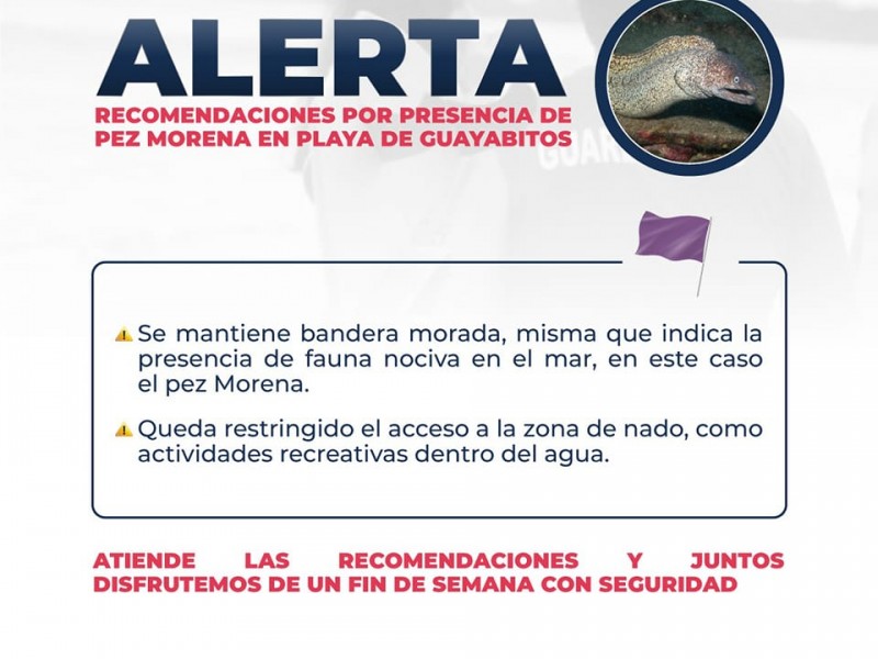 Cierran acceso a playa Guayabitos por presencia de morenas