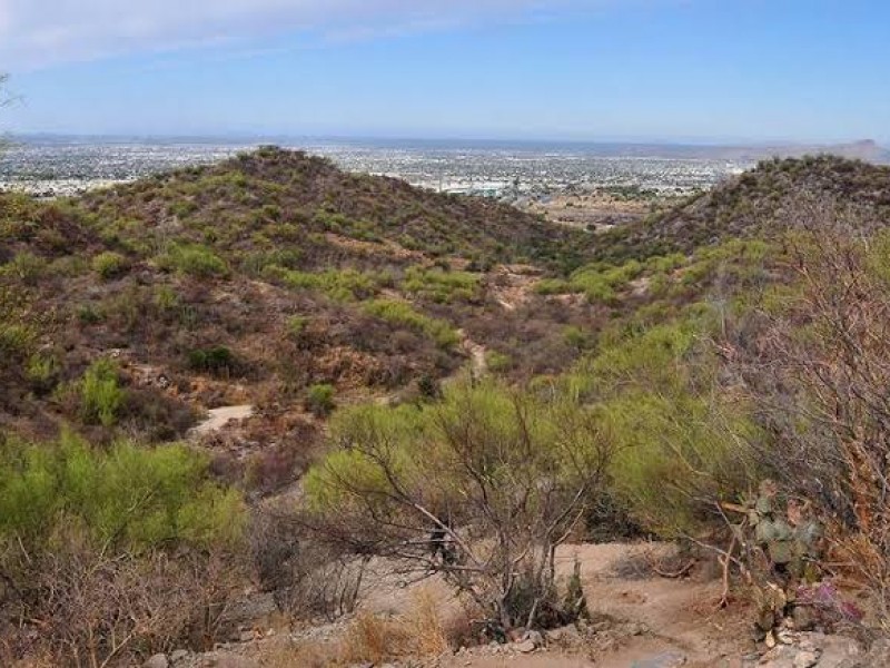 Cierran el Cerro del Bachoco por contingencia de coronavirus