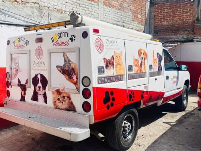 Cierran filas contra el maltrato y el abandono animal