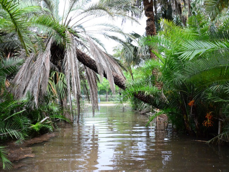 Cierran parque Sinaloa por daños que dejó 