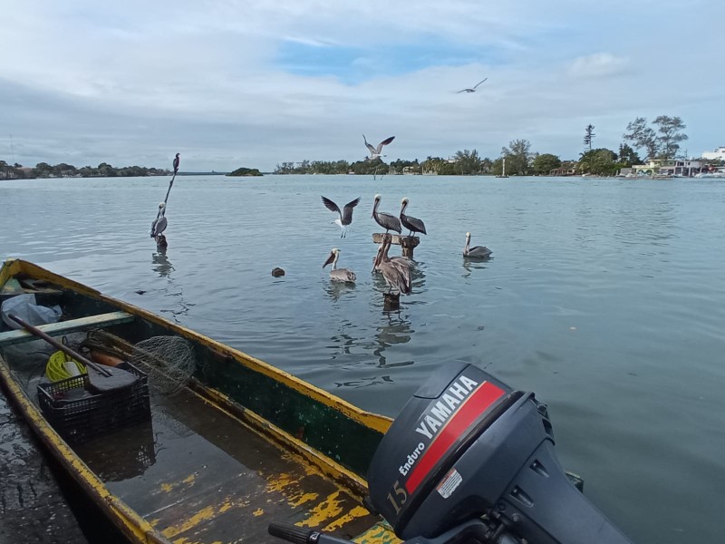 Cierran puerto de Tuxpan a todo tipo de navegación por mal tiempo