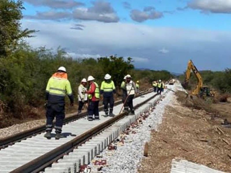 CIIT busca consolidar un proyecto de más de un siglo