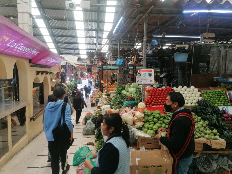 Cilantro, lechuga y rabanos registraron un incremento