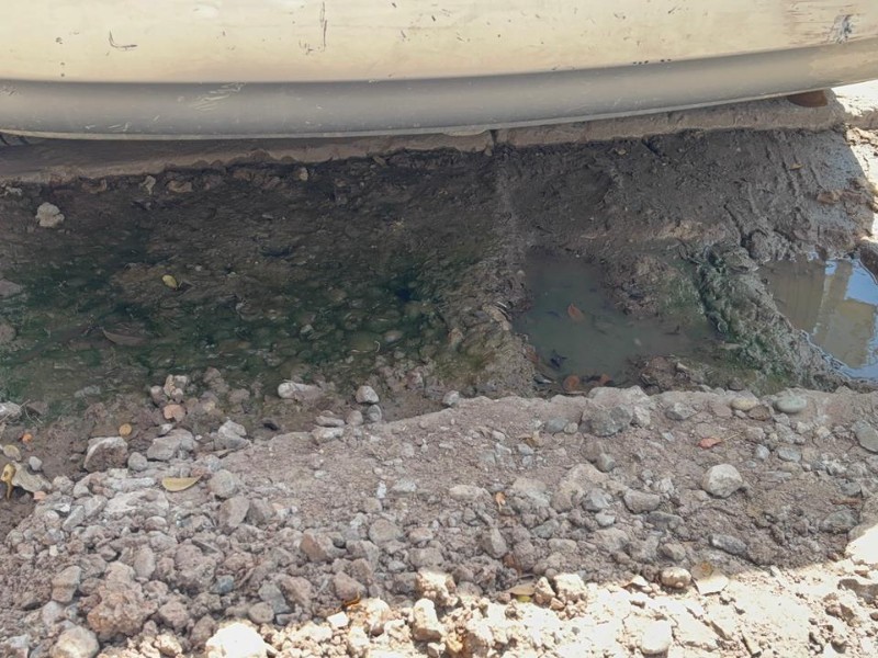 Cinco años de abandono mantienen intransitable la calle Jazmines en Arboledas