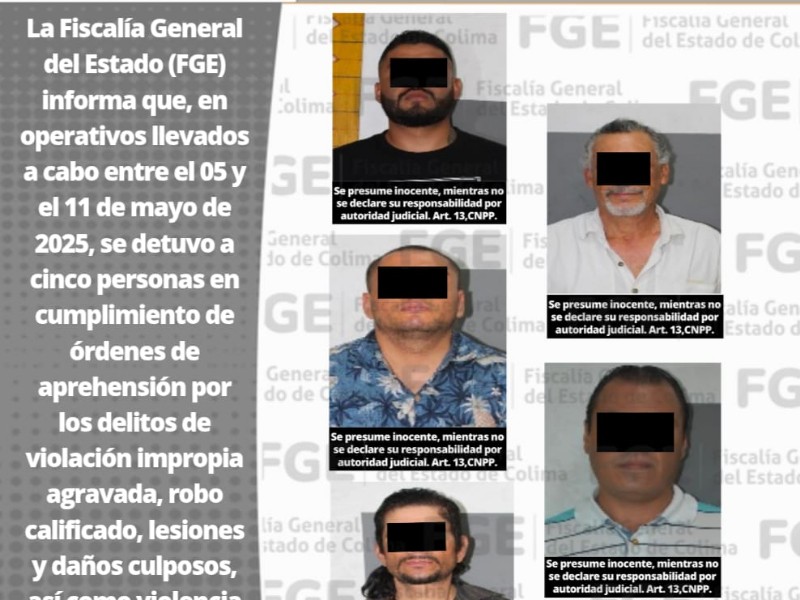 Cinco detenidos por diversos delitos