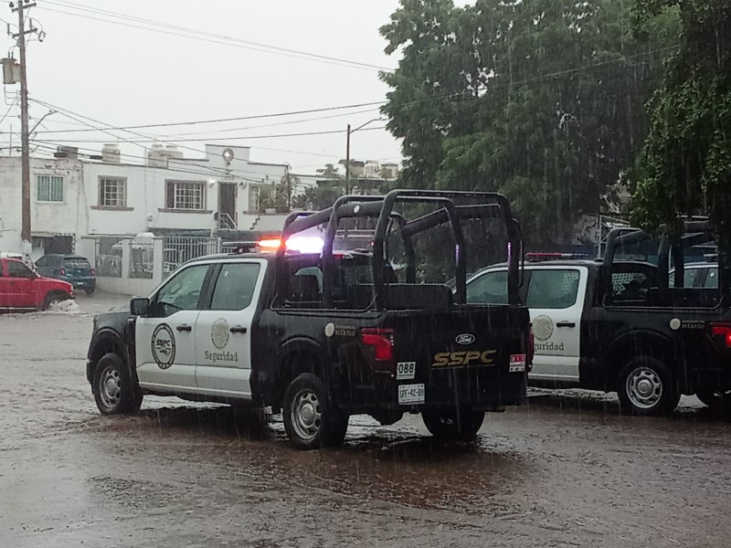 Cinco homicidios, 7 vehículos robados y 4 desaparecidos, saldo de este viernes