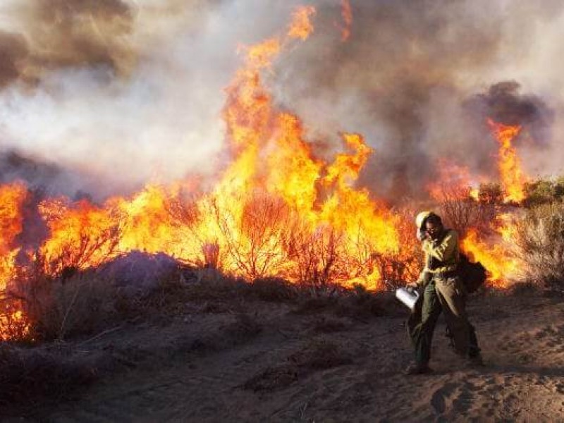 A pesar de lluvias hay 5 incendios activos en Chiapas