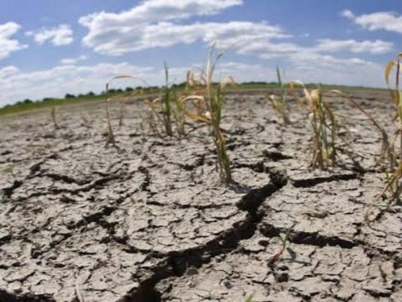 Cinco municipios afectados por sequía solicitan traslado de agua