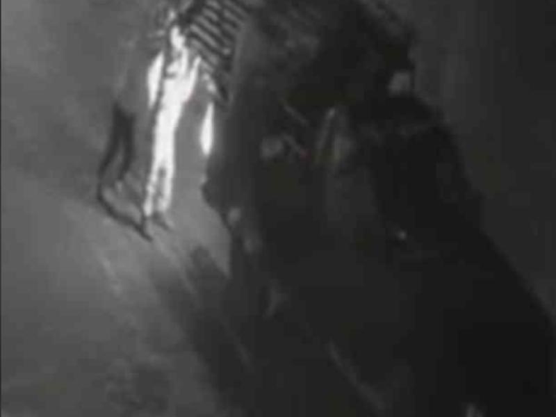 Cinco sujetos roban dos zaguanes en diez minutos en San Antonio Abad