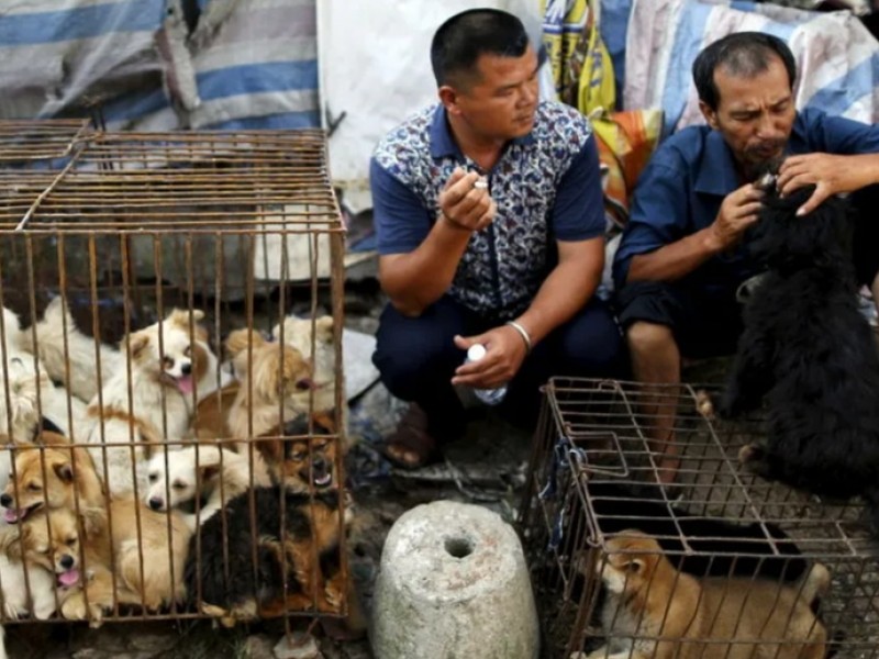 Ciudad de China realiza feria de carne de perro