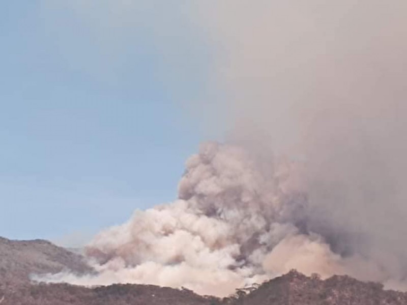 Ciudadanos alertan propagación de incendio en cerro las flores,Lachiguiri