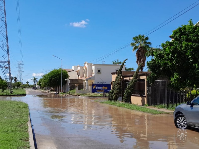 Ciudadanos de Los Mochis solicitan más cuadrillas del Ayuntamiento