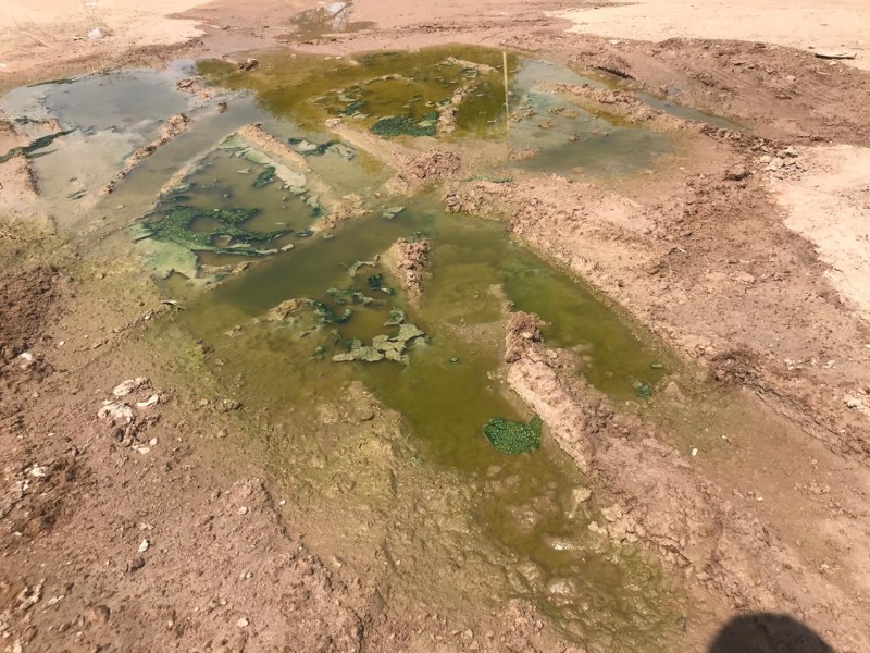 Ciudadanos denuncian fuga de aguas negras en SLRC.