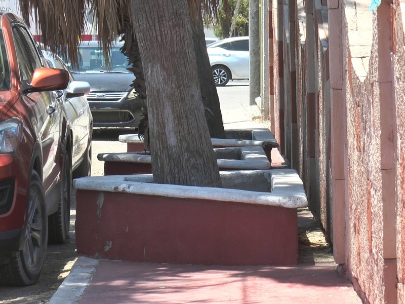 Ciudadanos denuncian jardineras obstruyendo el paso en colonia Pueblo Nuevo