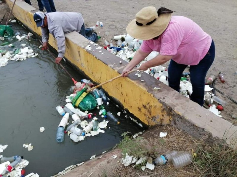 Ciudadanos emprenden acciones en cuidado del medio ambiente