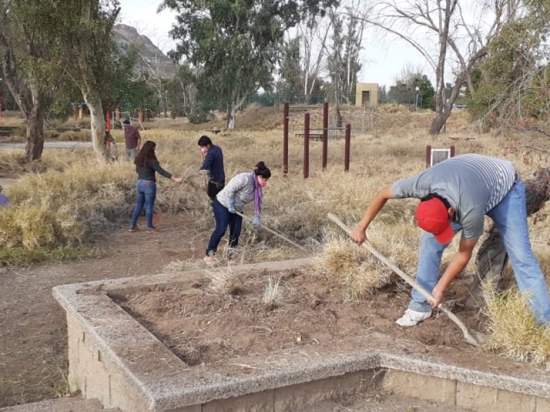 Ciudadanos limpian espacios verdes para conservarlos en Hermosillo