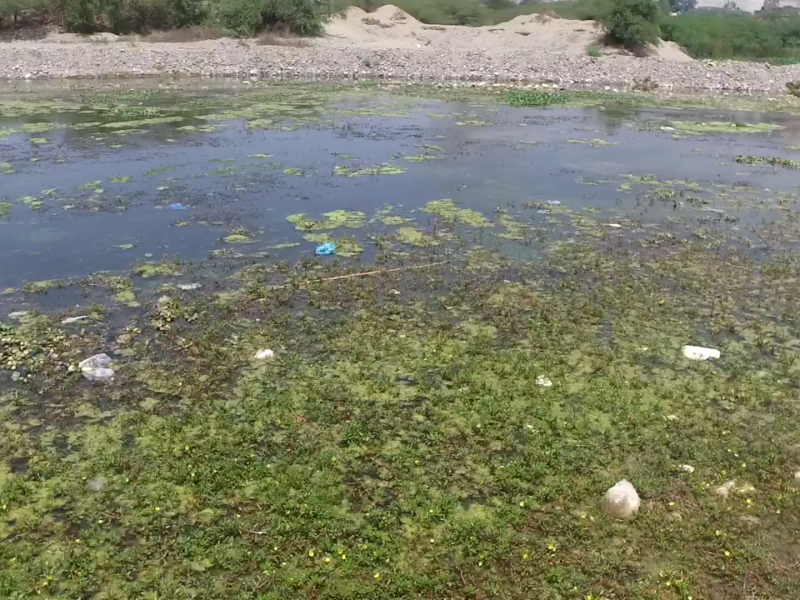 Ciudadanos limpiarán el Río Tehuantepec