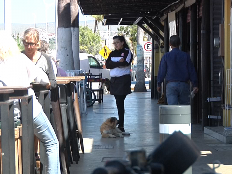 Ciudadanos paceños se hacen de la vista gorda