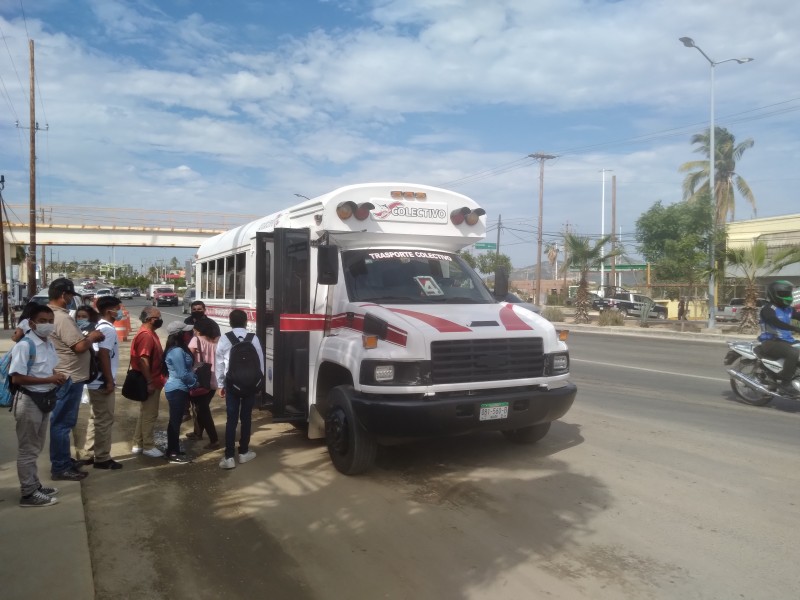 Ciudadanos piden colocación de paraderos