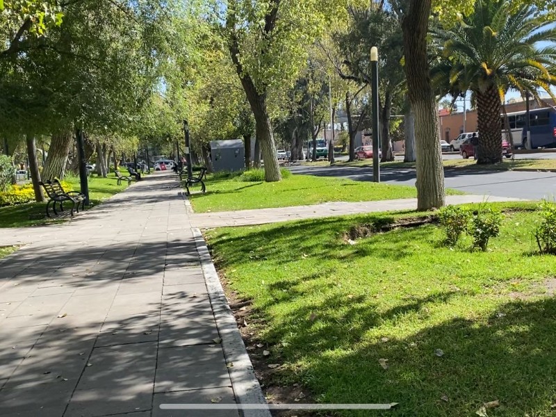 Ciudadanos piden más áreas verdes en colonias de Durango